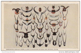 Texas San Antonio Unmounted African Horns At Albert's Buckhorn Saloon Curteich - San Antonio