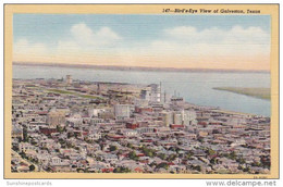 Texas Galveston Birds Eye View Curteich - Galveston