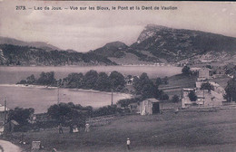 Vallée De Joux VD, Les Bioux, Le Pont Et Dent De Vaulion (2173) - Vaulion
