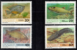 NAM+ Namibia 1992 Mi 719-22 Mnh Fische TK - Namibie (1990- ...)