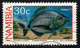 NAM+ Namibia 1994 Mi 764 Fisch TK - Namibie (1990- ...)