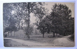 BELGIQUE - NAMUR - ANHEE - La Route De La Molignée à La Chapelle Saint-Roch - 1913 - Anhée