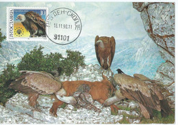 Yugoslavia Maximum Card 1990 European Nature Conservation,birds - Maximumkarten