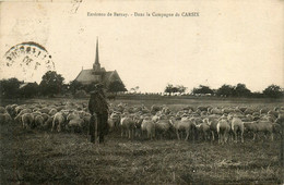 Carsix * Pâturages Dans La Campagne * Troupeau De Moutons * Berger * Environs De Bernay - Sonstige & Ohne Zuordnung