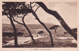 ESPAGNE(CEUTA) ARBRE - Ceuta