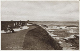 "PHOTO BROWN" : THE ESPLANADE, DUNBAR ~ ANIMATED - East Lothian