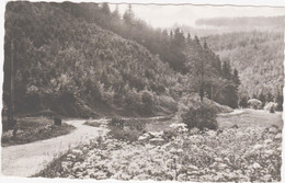 DEUTSCHLAND - GERMANY  STADTRODA  Im Zeitzgrund  1959 - Stadtroda