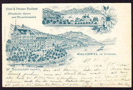 1903 Hotel Reklame AK: Hotel Und Pension Neidhart, Walchwil. Klimatischer Kurort Und Wasserheil Anstalt. - Walchwil