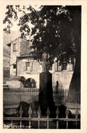 Die * Carte Photo * Statue De La Comtesse - Die