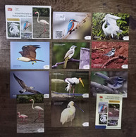 India 2022 Avian Diversity Bird , Animal Fauna, Augmented Reality Technology , SET Of 9 + 1 + 1 (**) Inde Indien - Lettres & Documents