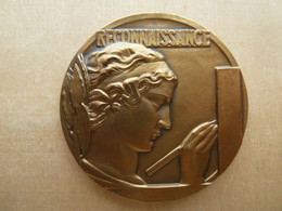 DA-110 Médaille Bronze Signée Delannoy Au Dos 20 Ans De Présence Au Géant Aix En Provence - Bronzes