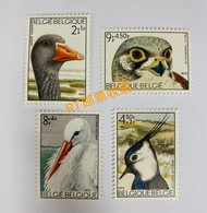 Belgium 1972 Fauna Birds Geese Animals Owl Anser Vanellus Charity Bird Animal Owls Falco Tinnunculus Ciconia Stamps MNH - Oche