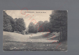 Bruxelles - Ravin Du Bois - Postkaart - Bossen, Parken, Tuinen