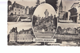 85- Sainte Hermine Multivues - Sainte Hermine