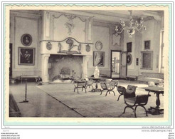 Ecaussinnes-Lalaing - Château Ecaussines SALON - Kasteel - Ecaussinnes