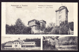 1918 Gelaufene AK: Widen. Restaurant Und Pension Châlet. Hasenberg Ob Bremgarten - Bremgarten