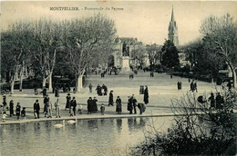 Montpellier * La Promenade Du Peyron - Montpellier