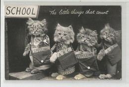 Humour Anglais England School école Chat Cat Chatons The Little Things That Count Style Carte Photo - Fotografía