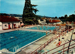 St Amand Montrond * Vue Sur La Piscine Municipale * Baigneurs - Saint-Amand-Montrond