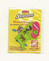 MAGNET SAVANE  AMERIQUE DU SUD PARAGUAY. - Tourisme