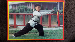 CPM ARTS MARTIAUX SPORT LES MAITRE SDU KUNG FU ED APAMA JEUNE HOMME ENFANT SABLE - Arti Marziali