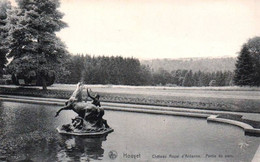 HOUYET Château Royal D'Ardenne. Partie Du Parc - Houyet