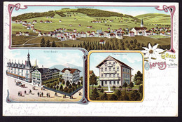 1904 Gelaufene Litho AK: Gruss Aus Oberegg. 3 Bildrig. Hotel Bären Mit Dependance. Nach Konstanz - Oberegg