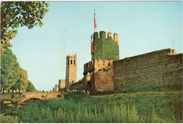 MONTAGNANA (PADOVA) -Porta Vicenza Con Cinta Muraria - Padova