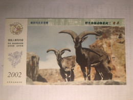 China Postal Stationery，stamped Postcard，Wild Rare Animal, ​​​​​​​Rock Sheep - Cartoline Postali