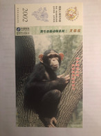 China Postal Stationery，stamped Postcard，Wild Rare Animal,​​​​​​​chimpanzee - Cartoline Postali