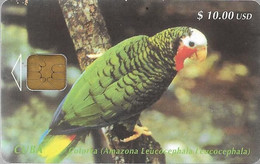 CARTE-PUCE-CUBA-10USD-PERROQUET-COLORRA-TBE-RARE - Parrots