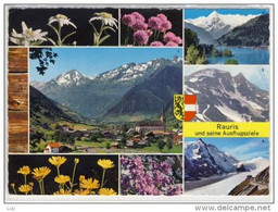 RAURIS ; Pinzgau Und Seine Ausflugsziele, Alpenblumen    1970 - Rauris