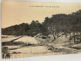 CPA - 85 - La Tranche Sur Mer - Un Coin De La Forêt - La Tranche Sur Mer