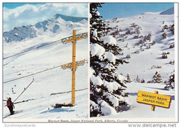 Canada Marmot Basin Skiing Jasper National Park - Jasper