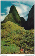 Hawaii Maui The Needle In Iao Valley Near Wailuku - Maui