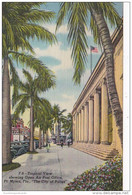 Florida Fort Myers Tropical View Showing Open Air Post Office Curteich - Fort Myers