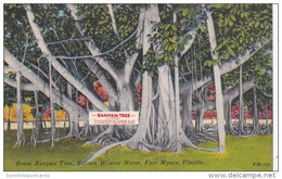 Florida Fort Myers Great Banyan Tree At Edison Winter Home - Fort Myers