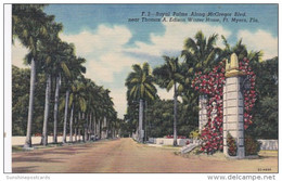 Florida Fort Myers Royal Palms Along MacGregor Boulevard Near Thomas A Edison Winter Home Curteich - Fort Myers