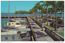 Florida Fort Myers Yacht Harbor & Tropical Island In Caloosahatchee River - Fort Myers