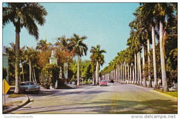 Florida Fort Myers Royal Palms Along McGregor Boulevard - Fort Myers