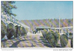 Arkansas Hot Springs Scene Of Mountain Valley Mineral Water Spring - Hot Springs