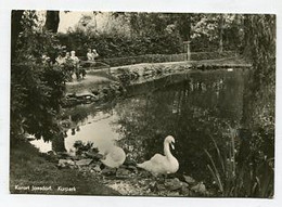 AK 044915 GERMANY - Kurort Jonsdorf - Kurpark - Jonsdorf