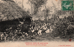 Chasse En Forêt De St Saint-Sever - Hallali D'un Cerf Dix Cors à Cotigny - Edition J. Loyer - Chasse