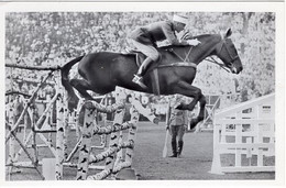 51716 - Deutsches Reich - 1936 - Sommerolympiade Berlin - Frankreich, "Bagatelle" Unter Capt. Bizard - Horse Show