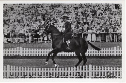 51718 - Deutsches Reich - 1936 - Sommerolympiade Berlin - Tschechoslowakei, "Helios" Unter Oberst Schoeninger - Paardensport