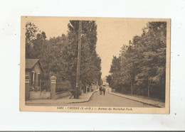 CROSNE (S  ET O)  5468  AVENUE DU MARECHAL FOCH (HOMME ET CHEVAL) - Crosnes (Crosne)