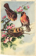 Illustrateur Rouges Gorges Sur Une Branche En Fleurs Et Oisillons Dans Un Nid RV - Birds
