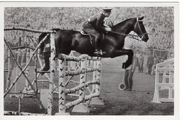 51730 - Deutsches Reich - 1936 - Sommerolympiade Berlin - Rumaenien, "Hunter" Unter Oberleutnant Tudoran - Ippica