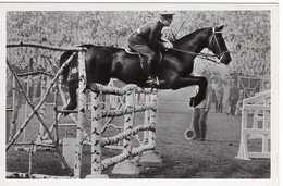 51730 - Deutsches Reich - 1936 - Sommerolympiade Berlin - Rumaenien, "Hunter" Unter Oberleutnant Tudoran - Horse Show