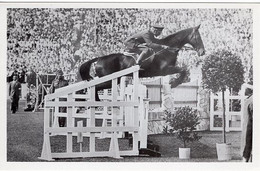 51733 - Deutsches Reich - 1936 - Sommerolympiade Berlin - USA, "Don" Unter Major Bradford - Hippisme